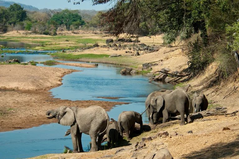 Tanzania Southern Explorer