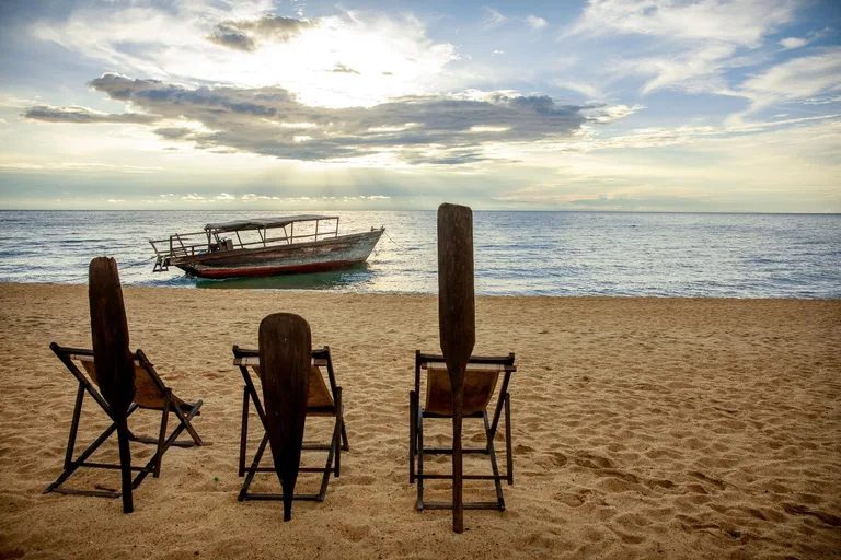 Chimps & Best of the West: An Unforgettable Tanzanian Fly-In Safari Adventure