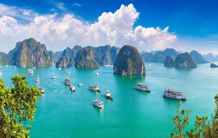 Vietnam Offers! Plenty of 'Wow' Moments Along the Way!