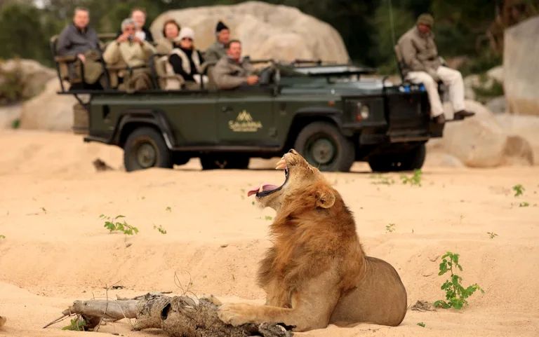 Luxury Honeymoon: South Africa & Mauritius Escape!
