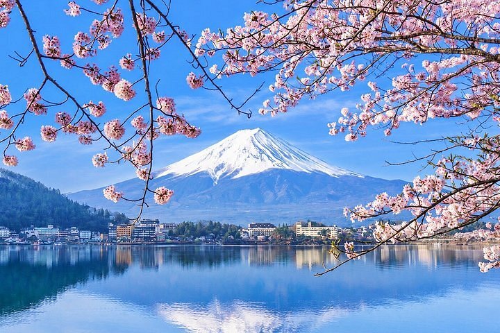 Discover the Best of Japan: Temples, Bullet Trains & Mount Fuji