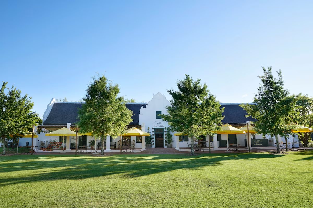 Escape to Stellenbosch: South African Wine Country & Timeless Elegance