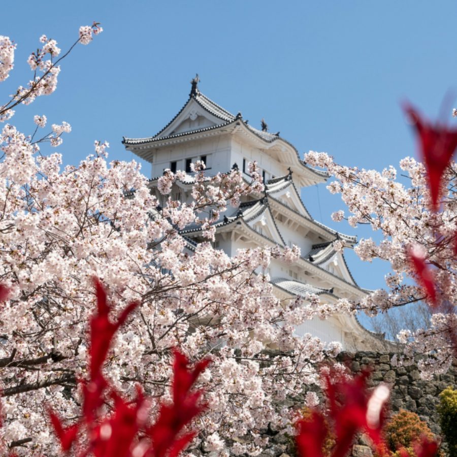 Japan: Red Hot Offers – Escorted Tours of Japan