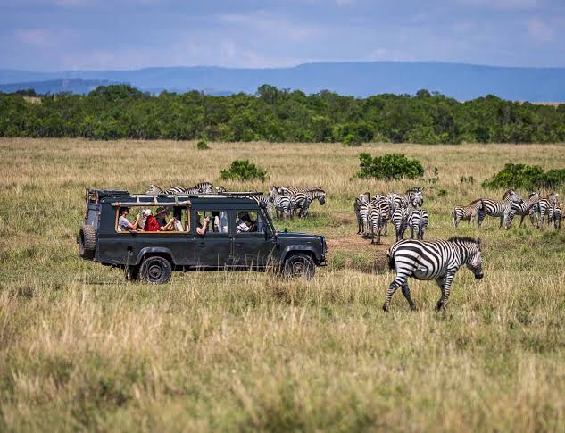 Discover South Africa on a Fully Inclusive Escorted Tour!
